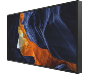 Pantalla Philips Digital Signage H-line 55'' 55bdl3102h