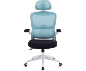 Silla Gaming Woxter Ergo/ Azul