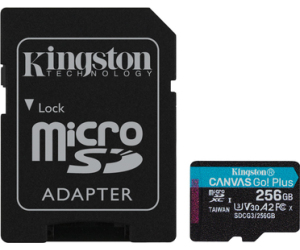 Kingston Technology Canvas Go! Plus memoria flash 256 GB SD Clase 10 UHS-I