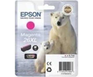 Cartucho tinta epson t263340 magenta xl xp - 600 - 605 - 700 - 800 -  oso polar