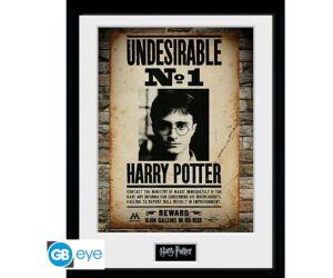 Poster enmarcado gb eye harry potter -  indeseable n1