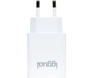 iggual Cargador de pared 1xUSB 5V/2.4A (12W)