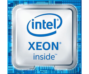 Intel Xeon W-1290p