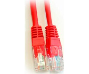 Pg Latiguillo Color Rojo Rj45 Cat 6 Utp 2 Metros