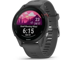 Smartwatch Garmin Forerunner 255 Basic Slate Grey