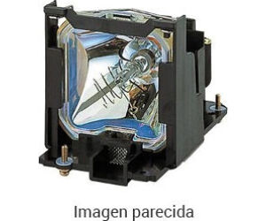 Benq Proyector Accesorios  (5j.jnl05.001) Lamp Module Tk70