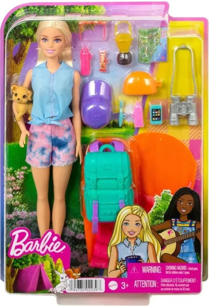 Muñeca barbie mattel dreamhouse adventures