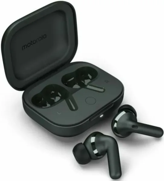 Auriculares Motorola Moto Buds+ Black Microfono Bt