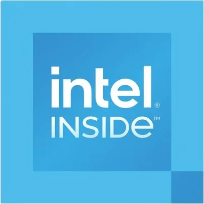Intel 300 Dual Core Box
