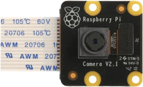 Raspberry Pi PiNoir Camera Module V2.1 Cámara Multicolor