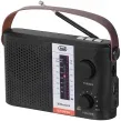Radio Solar Trevi Ra 7F25 Bt Portatil Bluetooth USB Micro SD Tws