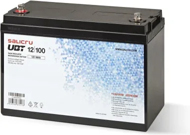 Salicru Bateria Ubt 12/100 Agm Recargable de 100 Ah/ 12 V